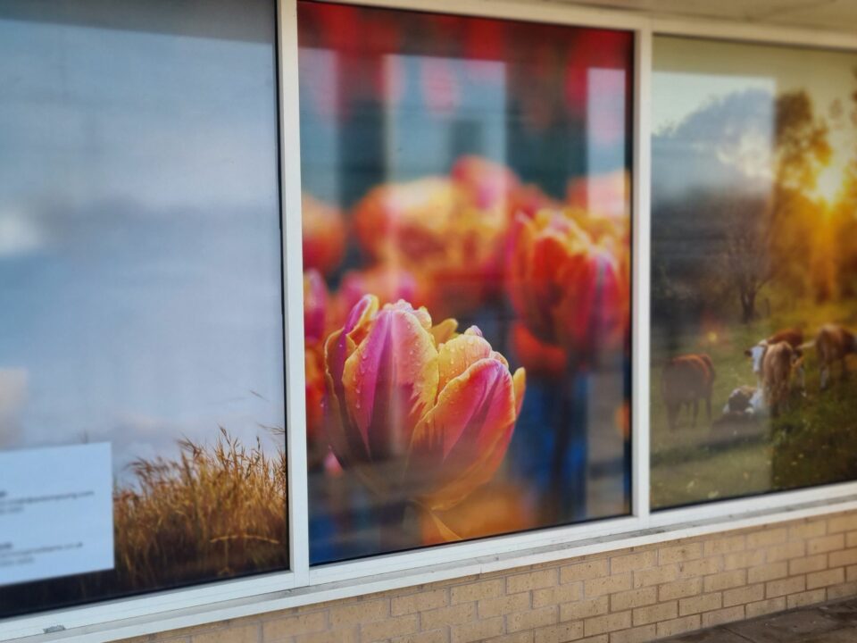 The Crown Estate vinyl window graphics in empty retail units